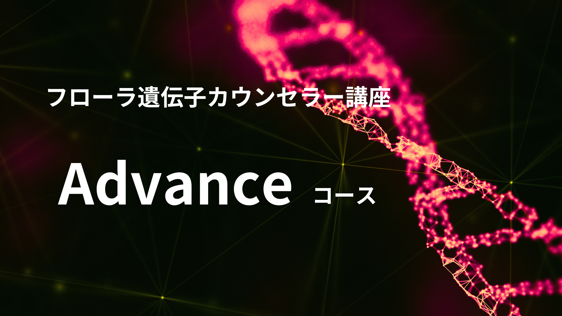 Advanceコース