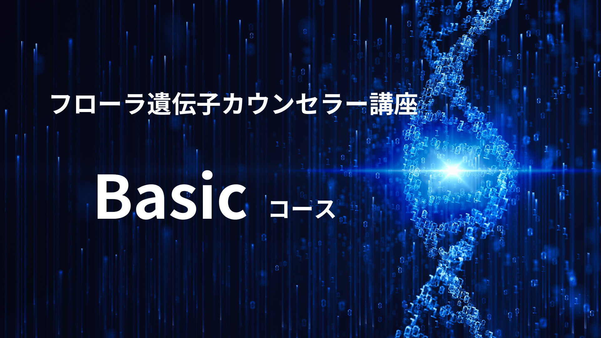 Basicコース